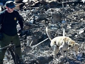 Man Who Lost Home In Fire Elated To Be Reunited With Dog