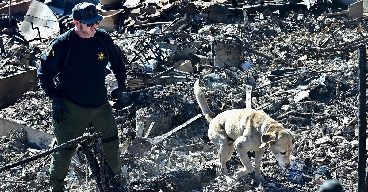 Man Who Lost Home In Fire Elated To Be Reunited With Dog