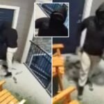 Man checks brother's apartment after security alert and is shot by burglar