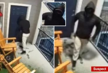 Man checks brother's apartment after security alert and is shot by burglar