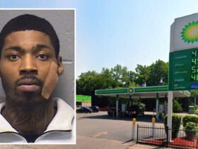 Man finds his stolen car at gas station, is thrown into prison before shooting at the thieves