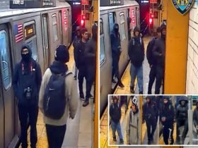 NYC Teen Herrieschoppers who say that the police have taken with Subway Train for Joyride seen in new images