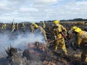 Pair fined thousands over Southland wetland fire