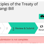 Parliament website issues could be cost-cutting: experts