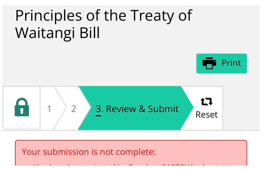 Parliament website issues could be cost-cutting: experts