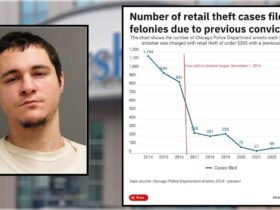 Prosecutors charge the man with eight felony counts of shoplifting, even though none of the thefts exceed the state's felony threshold. This is why.