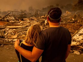 couple observes LA fire damage