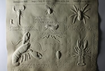 an embossed page of crustacean shapes from a collection of pictures for the blind (tactile graphics), created by M. Kunz, Director of the Illzach School near Mulhouse, France