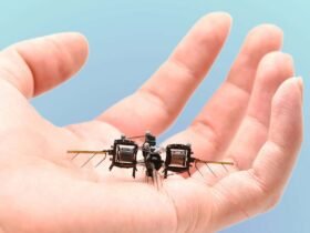 Tiny insect-like robot can flip, loop and hover for up to 15 minutes