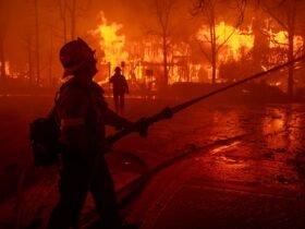 Trump’s Erroneous Claims about the Los Angeles Fire Response, Debunked