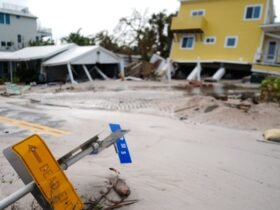 U.S. Economic Losses From Natural Disasters Soar In 2024, But Ease Globally