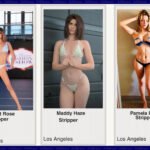 WELCOME VIXEN ELITE TALENT - Adult Industry News