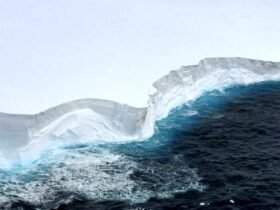 World's Largest Iceberg on Collision Course With Remote Islands : ScienceAlert