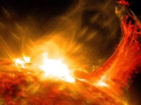 AI Can Predict Incredible Solar Storms Before They Strike : ScienceAlert