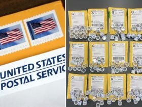 Almost 162k falsified American 'forever' stamps from China seized in Chicago