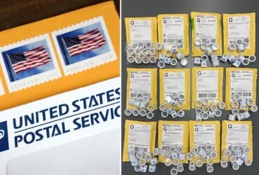 Almost 162k falsified American 'forever' stamps from China seized in Chicago