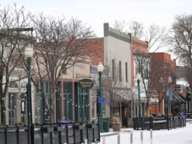 Arvada Chamber of Commerce gets a new name for its 100th anniversary