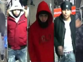 Brazen Masked theft Crew tries to grab 3 women's handbags in NYC Spree: Cops