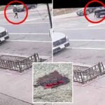 Brutal NYC Hit-and-Run caught on video with a in custody: NYPD