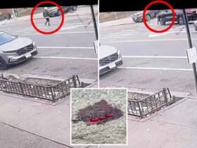 Brutal NYC Hit-and-Run caught on video with a in custody: NYPD