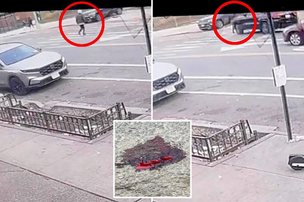 Brutal NYC Hit-and-Run caught on video with a in custody: NYPD