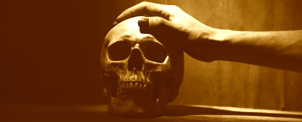 Cannibalism in Europe's Past Was More Common Than You May Realize : ScienceAlert