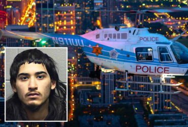 Carjacker jumped up and out of moving train to avoid the Chicago police helicopter, officials (it didn't work) say