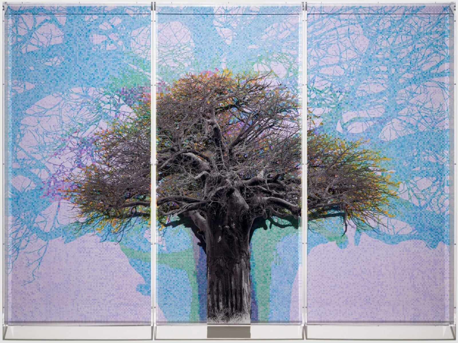 a grayscale tree layered atop a blue and purple numbered grid with a shadow of a tree printed on it. a plexiglass layer sits atop it all