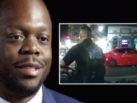 Chicago Cop claims that the Arizona police wrongly arrested him during the made -up traffic stop