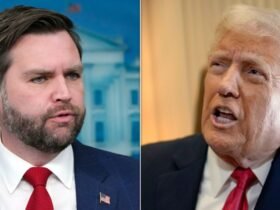 Donald Trump Admits He Doesn't See JD Vance As His Successor