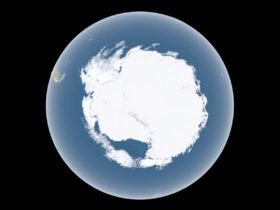 Antarctic daily sea ice Jan 1st 2024