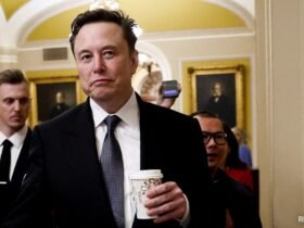 Elon Musk Is A "Special Government Employee": White House