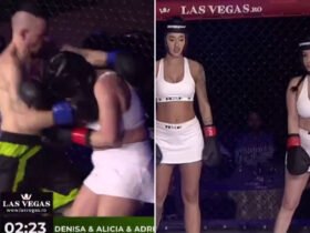 Fans disgusted 'sick' MMA fight as three Instagram and Only fans models brutally struck by two men in seconds