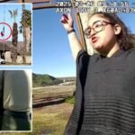 Female activist arrested for breaking down the American flag and replacing Mexico's in California Park