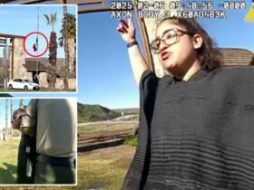 Female activist arrested for breaking down the American flag and replacing Mexico's in California Park