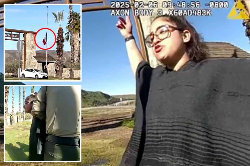 Female activist arrested for breaking down the American flag and replacing Mexico's in California Park