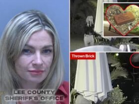 Florida Woman caught on camera swing commemorations 'first date' brick through the window of ex hubby despite denials: sheriff