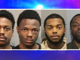 Get armed theft and carjacking crew for up to 22 years in the federal prison