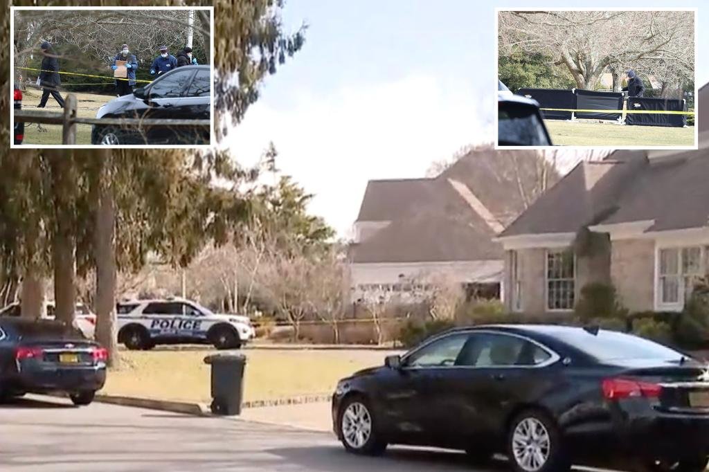 Husband kills wife and then takes his own life on the front lawn in apparently Long Island Murder-Subide: Cops