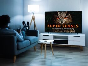 I am fed up with my brain rot and watch Netflix - here is what I stream instead