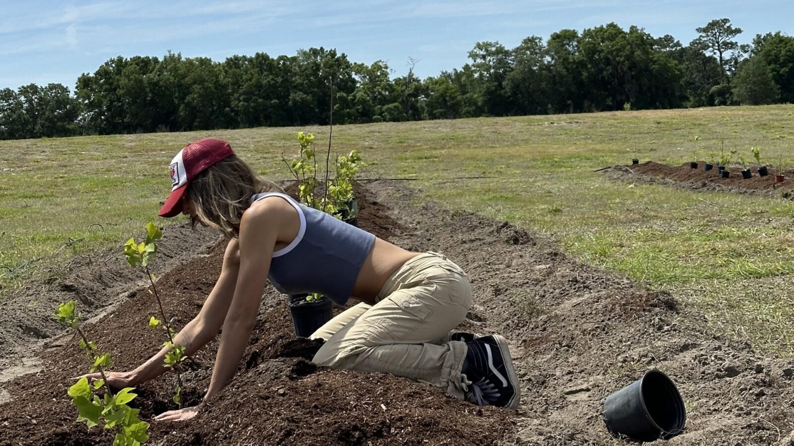 I am the world's most popular farmer and I love Jeremy Clarkson - he is a sexy genius and he is welcome to plow my field at any time