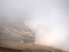 View of fog at the Atacama desert in Iquique, some 2000 km north of Santiago, on April 19, 2016. Catholic University of Chile researchers' challenge is to implement a fog collection system -which uses large pieces of vertical canvas to make the fog condense into droplets- in small communities which don't have drinkable water in Atacama desert. / AFP / MARTIN BERNETTI (Photo credit should read MARTIN BERNETTI/AFP via Getty Images)