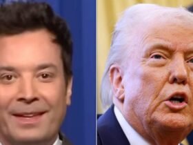 Jimmy Fallon Answers The Big Question About Trump's Tariff Fiasco