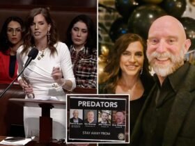 Nancy Mace accuses ex-fiancé of sexual abuse in House Speech