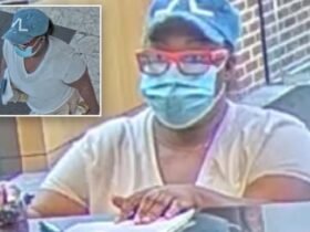 New Jersey -Vrouw robbed $ 60k with painted water gun: Feds