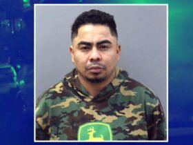 Ordered deported in 2022, migrant on trial for weapons possession and accused of beating his ex-girlfriend. But judges refuse to keep him in prison.
