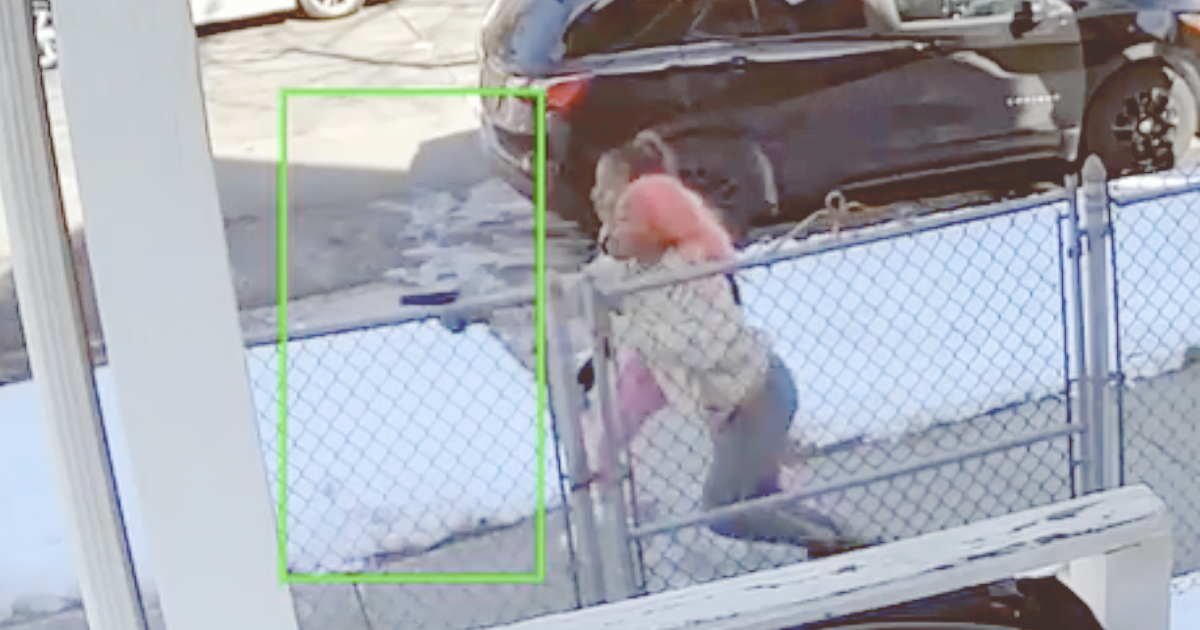 Pistool-Packing Pink Hairy Princess shot another woman during Daylight Street Quarrel (Video)