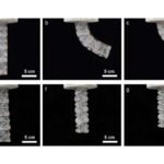 The robotic arm at different stages of activation