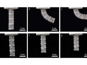 The robotic arm at different stages of activation