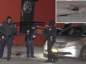 Teen dies after he has been shot several times on NYC Street: Police